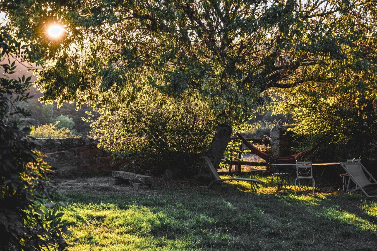 Tiny House Morvan Bourgogne Nature - 2H De Paris Bussieres  Buitenkant foto